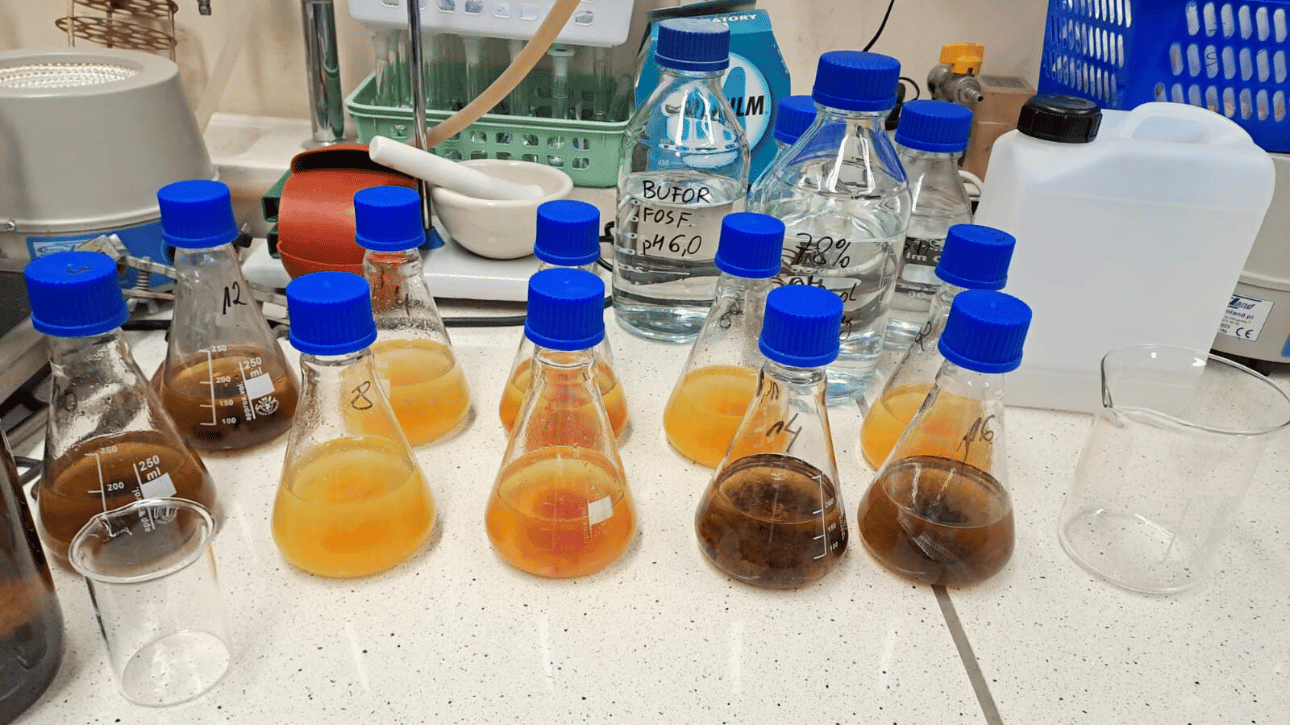 Oznaczenie zawartości składników bioaktywnych ziarna - frakcji błonnika pokarmowego i beta-glukanów (wrzesień-grudzień)